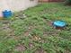 Yard featuring natural ground cover and a potential landscaping project at 7100 Ashwood Dr, Port Richey, FL 34668