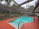 Private backyard pool enclosed within a screen, providing a secure swimming area at 7119 Lenape Cir, New Port Richey, FL 34653
