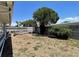 Spacious backyard with a large tree, potential for outdoor activities and gardening at 7534 Briarwood Dr, Port Richey, FL 34668