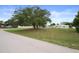 Expansive grassy lot with mature trees, bordering road, and potential for development at 8283 Shoup St, Spring Hill, FL 34606