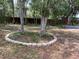 Beautiful backyard with a stone-lined circular planting bed around mature trees at 8291 Weeping Willow St, Brooksville, FL 34613