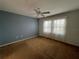 Comfortable bedroom featuring a ceiling fan, window with sheers, and a calming blue accent wall at 8291 Weeping Willow St, Brooksville, FL 34613