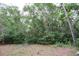 An undeveloped parcel of land overgrown with Florida scrub vegetation at 11364 Orangewood Ct, Spring Hill, FL 34609