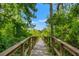 Picturesque boardwalk path surrounded by lush greenery and tall trees at 11579 Weaver Hollow Rd, New Port Richey, FL 34654