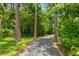Scenic nature trail featuring towering trees, lush greenery, and a gravel path at 11579 Weaver Hollow Rd, New Port Richey, FL 34654