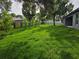 Large backyard with lush green grass and new landscaping at 12064 Cradock St, Spring Hill, FL 34608