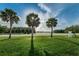 Green front yard with manicured landscaping and a view of a pond across the street at 1236 Ketzal Dr, Trinity, FL 34655
