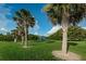 Playground is nestled in a large green area with palm trees at 1236 Ketzal Dr, Trinity, FL 34655