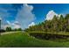 Peaceful pond surrounded by trees and a walking path for a serene outdoor experience at 1236 Ketzal Dr, Trinity, FL 34655