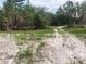 Secluded dirt road amidst grassy landscape and pine trees, offering a peaceful retreat from city life at 12643 Placid Rd, Hudson, FL 34667