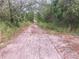 Tranquil dirt road winding through lush greenery, perfect for a secluded homesite or outdoor adventures at 12643 Placid Rd, Hudson, FL 34667