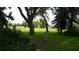Scenic view of a expansive green space with mature trees, creating a peaceful and inviting outdoor environment at 13012 Wedgewood Way # A, Hudson, FL 34667