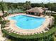 Aerial shot of the community pool surrounded by lounge seating and umbrellas at 17905 Machair Ln, Land O Lakes, FL 34638