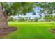 Expansive backyard featuring a well-manicured lawn and mature shade trees at 2310 Augusta Dr, Spring Hill, FL 34606