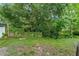 Lush backyard with a mix of natural greenery and a partially visible fence, providing a private outdoor retreat at 4350 Sawgrass Blvd, New Port Richey, FL 34653