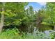 Scenic view of a tranquil pond surrounded by vibrant greenery, creating a peaceful and natural setting at 4350 Sawgrass Blvd, New Port Richey, FL 34653