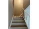 Bright staircase showcases a modern railing design and leads to the upper level at 5708 Townhouse Dr # 5708, New Port Richey, FL 34652