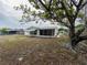 Spacious backyard featuring a screened-in patio and mature shade tree, offering a relaxing outdoor space at 7608 Bougenville Dr, Port Richey, FL 34668