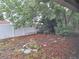 View of the backyard with a large tree and fence at 7631 Briarwood Dr, Port Richey, FL 34668