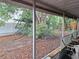 This backyard has a large tree, and leaves on the ground at 7631 Briarwood Dr, Port Richey, FL 34668