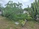 View of the front yard with a cactus garden at 7631 Briarwood Dr, Port Richey, FL 34668