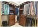 A very nicely organized walk in closet with built in shelving and drawers at 8518 Quail Hollow Blvd, Wesley Chapel, FL 33544
