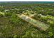Aerial perspective of a property outlined, showcasing its land surrounded by dense tree cover and greenery at 8540 Roseanne Blvd, New Port Richey, FL 34654