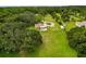 Aerial view of property featuring lush trees, a long driveway, and surrounding green fields at 8540 Roseanne Blvd, New Port Richey, FL 34654
