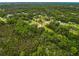 Lush aerial view of a sprawling landscape with scattered residences and vibrant greenery, plus a pond at 8540 Roseanne Blvd, New Port Richey, FL 34654
