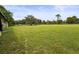 Expansive green backyard featuring a large open space perfect for recreation and relaxation at 8540 Roseanne Blvd, New Port Richey, FL 34654