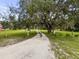 Long private driveway framed by mature trees, leading to home on a sunny day at 8540 Roseanne Blvd, New Port Richey, FL 34654