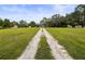 Spacious property featuring a long, private driveway leading to a home in a tranquil, grassy setting at 8540 Roseanne Blvd, New Port Richey, FL 34654