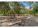 A landscape view of open land surrounded by trees at 10149 Rockbay Rd, Brooksville, FL 34601