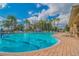 Enjoy the sparkling community pool, ample seating and palm tree views at 11726 Belle Haven Dr, New Port Richey, FL 34654
