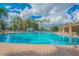 Large community pool with lap lanes and palm trees at 11726 Belle Haven Dr, New Port Richey, FL 34654