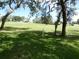 Backyard with a large tree providing shade at 13010 Wedgewood Way # A, Hudson, FL 34667