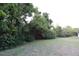 Spacious backyard with mature trees offering privacy and shade at 14112 Whitecap Ave, Hudson, FL 34667