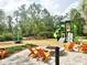 Fun community playground, fire pit, and outdoor seating offer endless possibilities for recreation and relaxation at 17316 Cruiser Bnd, Land O Lakes, FL 34638
