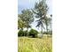 Lush backyard with mature trees and a small pond at 2542 Sandy Hill Ct, Holiday, FL 34691