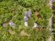 This aerial view showcases the lush surrounding trees, long driveway, shed and brick patio with plenty of outdoor space at 27091 Country Oak Dr, Brooksville, FL 34602