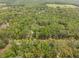 Lush trees surround properties, creating a beautiful, secluded view from the aerial perspective at 27091 Country Oak Dr, Brooksville, FL 34602