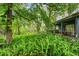Secluded backyard with covered porch and abundant foliage create a private natural setting at 3270 Endsley Rd, Brooksville, FL 34604
