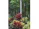 Well-maintained garden area with vibrant foliage and decorative lighting at 6505 Broadwing Ct, Tampa, FL 33625