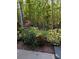 Lush tropical backyard retreat with dense greenery and peaceful surroundings at 6505 Broadwing Ct, Tampa, FL 33625