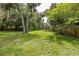 Expansive backyard with lush green grass and mature trees, offering ample space for outdoor activities at 7424 Grand Blvd, New Port Richey, FL 34652