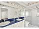 Bathroom featuring double sinks, a spacious shower, and modern fixtures at 10935 New Brighton Ct, New Port Richey, FL 34654