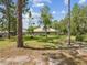 Rear exterior view of the house with a metal roof, surrounded by green grass and trees at 12229 Barnevelde Rd, Weeki Wachee, FL 34614