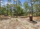 Wooded backyard featuring an outdoor fireplace with a fire burning brightly for enjoying cool evenings at 12229 Barnevelde Rd, Weeki Wachee, FL 34614