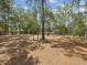 Expansive wooded backyard featuring a patio area, fire pit, and natural landscaping at 12229 Barnevelde Rd, Weeki Wachee, FL 34614