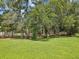 Expansive green yard with mature trees and natural landscaping, offering ample space for outdoor activities at 12229 Barnevelde Rd, Weeki Wachee, FL 34614